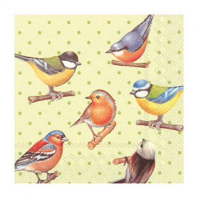 Disposable Napkins