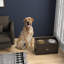 Café pour chien
