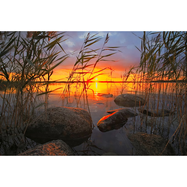 Sunset Reed Set House of Hampton Sunset In Reeds | Wayfair.co.uk