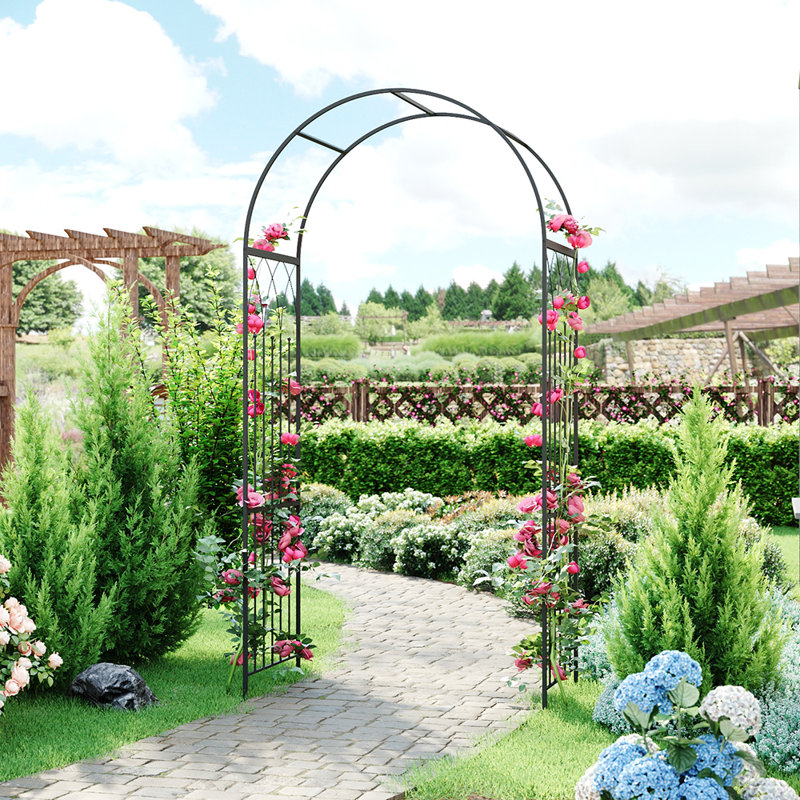 231cm H x 115cm W Iron, Metal Fan Trellis