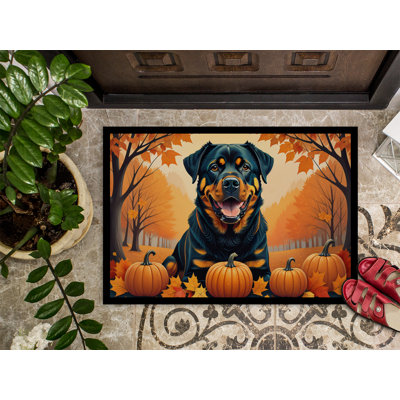 Nou Non-Slip Doormat
