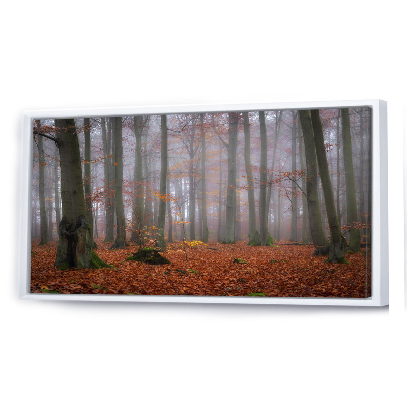 Misty Morning Autumn Birch Forest - photographie sur toile, L 12 po x H 8 po, Cadre blanc
