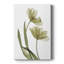 «Xray Tulip I», impression sur toile tendue-330840084