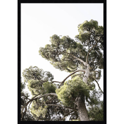 Reshma "Japanese Garden 01" Print