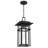 Alyena 1-Light Earth Black Outdoor Hanging Lantern
