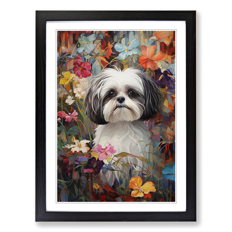 Shih Tzu Contemporary - Framed Print, Black, 34cm H x 25cm W x 2cm D
