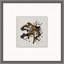 Staccato Painting by Thom Filicia