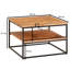 Regena Frame Coffee Table with Storage