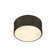 Hadlock Flush Mount