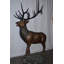 Statue en nacre debout en bronze de taille réelle, sculpture de style occidental majestueux, l 42 po x l 31 po x H 77 po