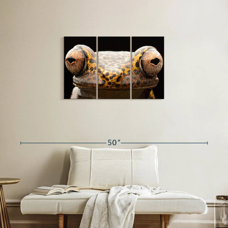 Brampt Tree Frog Eyes, 20" H x 33" W