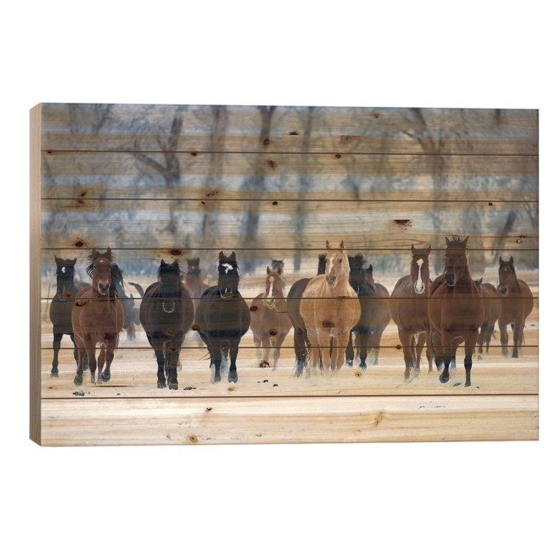 États-Unis, Wyoming, coquille, chevaux dans le froid par Hollice Looney - impression sans cadre sur bois