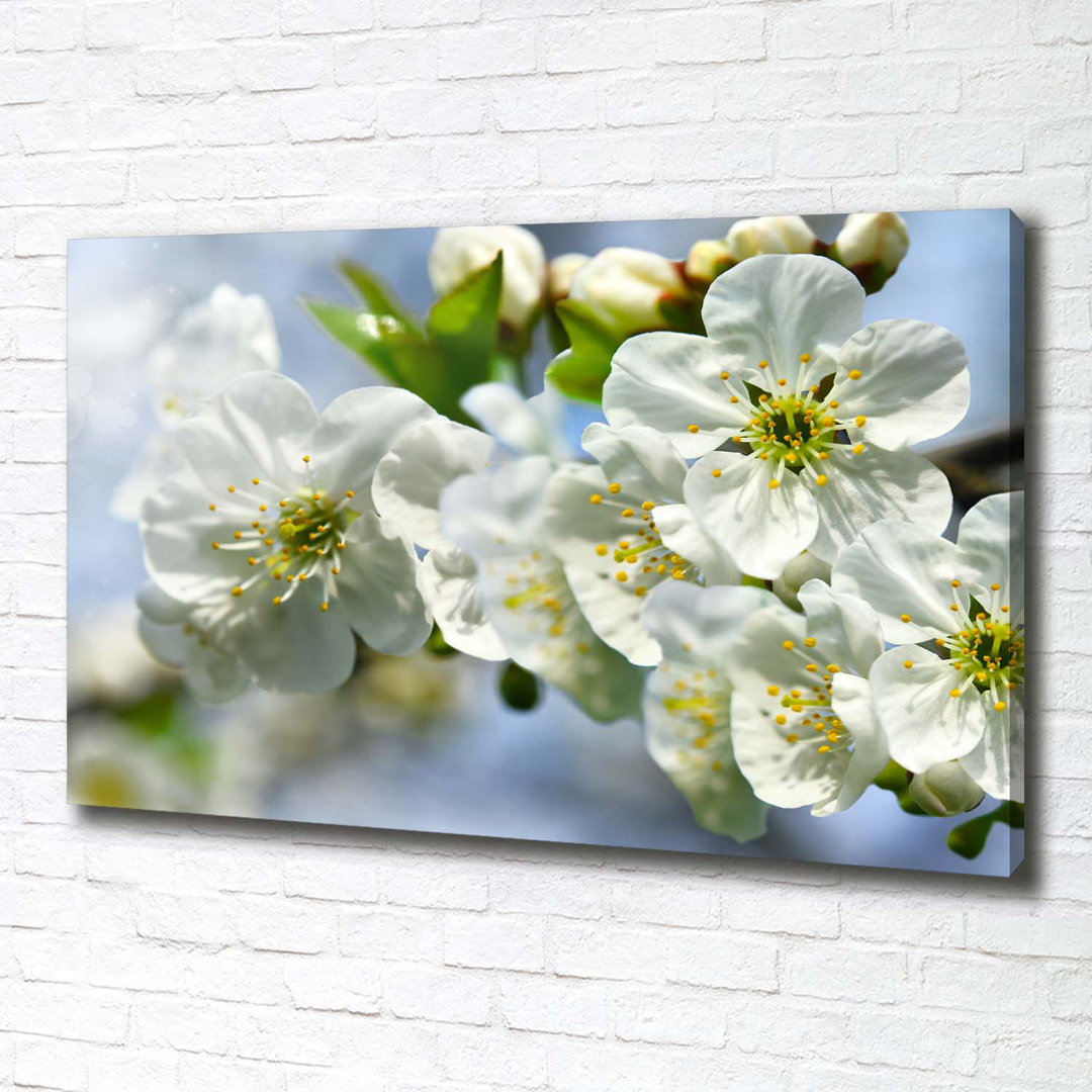 Kirschblüte - Kunstdrucke auf Leinwand - Wrapped Canvas