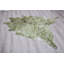 Tapis vert / blanc Robb