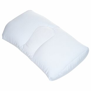 https://assets.wfcdn.com/im/82937518/resize-h310-w310%5Ecompr-r85/9435/9435303/fiber-plush-pillow.jpg