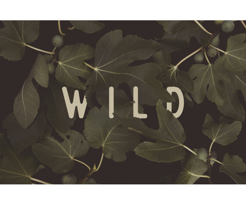 Wrapped Canvas Print, 60.96cm H x 91.44cm W