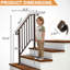 Rampe d'escalier en fer à 2 marches Sliver-123106864-123106863