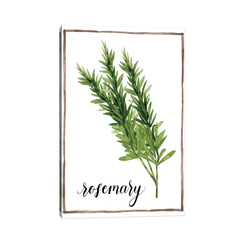 Watercolour Herbs V - Wrapped Canvas Print, 30.48cm H x 20.32cm W x 1.91cm D
