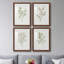 Simple Sprig I - ensemble de 4 reproductions de cadres photo-2075732646-2075732644
