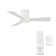 Hug 44'' Ceiling Fan with LED Lights
