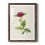 «Pretty Botanicals II», cadre photo-341834855-341834856