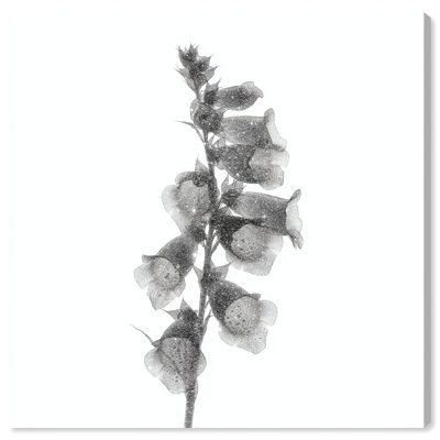 Ossified Petals II Canvas Floral & Botanical Print by Oliver Gal, Black Frame, 12 x 12