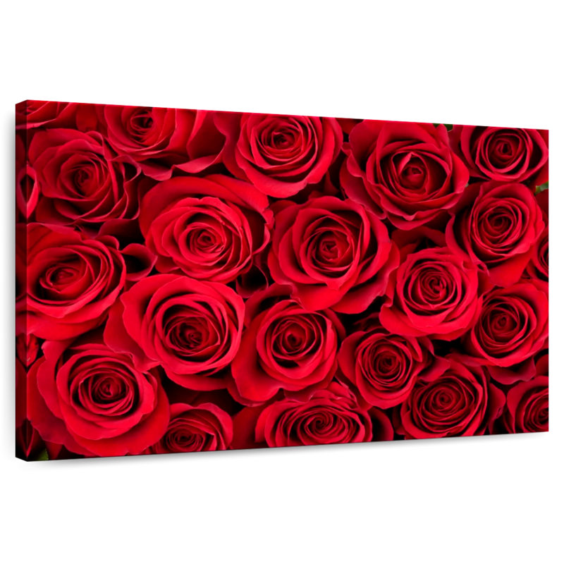 Harnek Blooming Red Roses