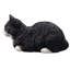 Chat tigré noir et blanc au repos-126248604