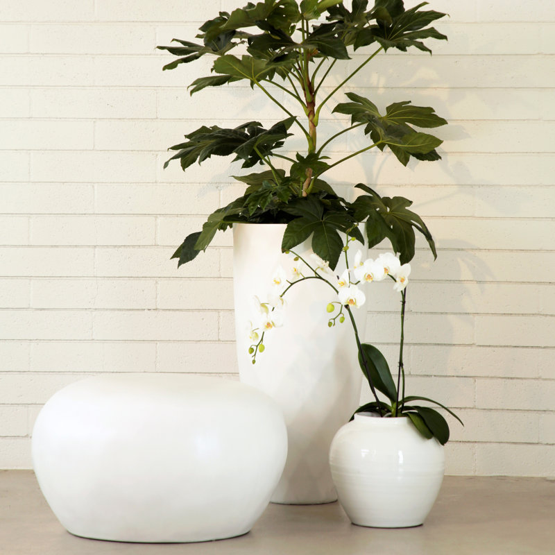 Allene Outdoor Coffee Table , 30'' in. W 26'' in. D, White