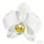 Arrangement floral artificiel-1236945547-1236945589