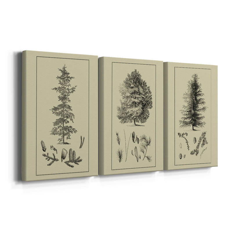 Arbor Study II - Toile tendue avec châssis - 3 pièces, H 12 po x l 24 po