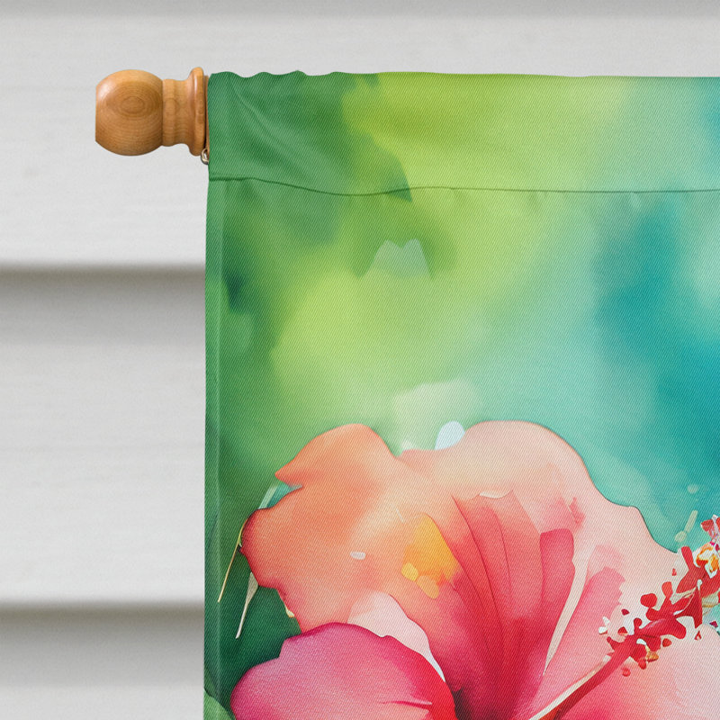 Double Sided 40'' H x 28'' W Polyester House Flag