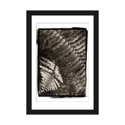 «Fern I» par Debra Van Swearingen - reproduction d'art sur toile tendue