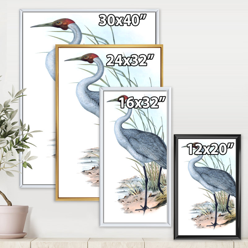 «Vintage Australian Birds V», impression sur toile, H 40 po x l 30 po x 1,5 po, Cadre blanc