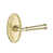 Satin Brass selected
