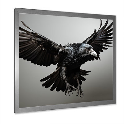 Grey And Black Raven In Flight II - Raven Animal Wall Art