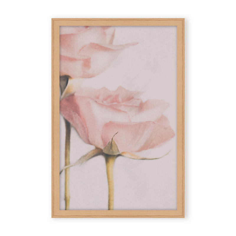 Nature Inspired Two Roses by  - Picture Frame Photograph on Paper, 36" H x 24" W x 1.125" D, Black, Framed Matted Print