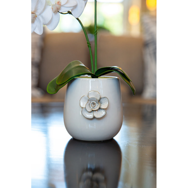 Orchid Arrangement in Planter
