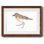 " Pretty Piper IV "-1594294873-1594294875
