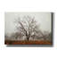 «Morning Calm I» par Debra Van Swearingen, art mural sur toile-100254761
