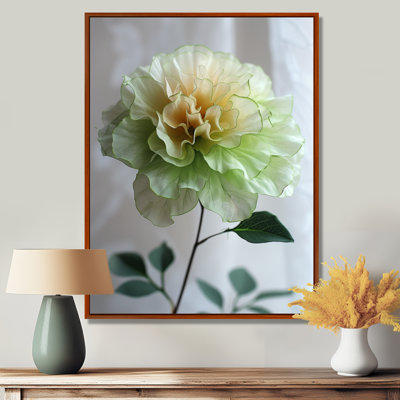 Blanc, blanc, jardin, glamour, souci, photo, souci, art mural, salon