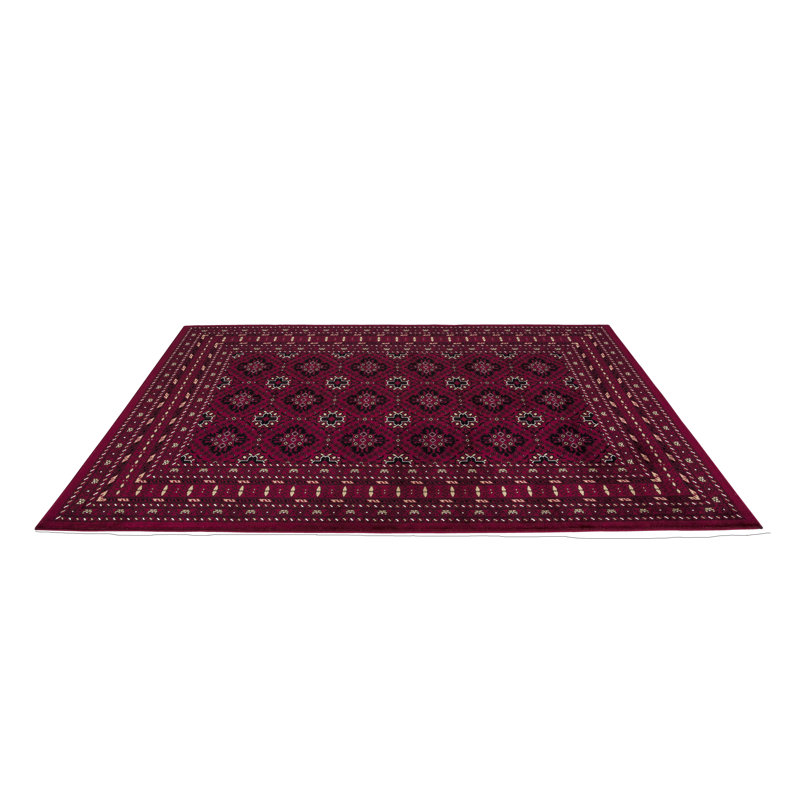 Castenada Oriental Area Rug, Rectange 160 x 230cm