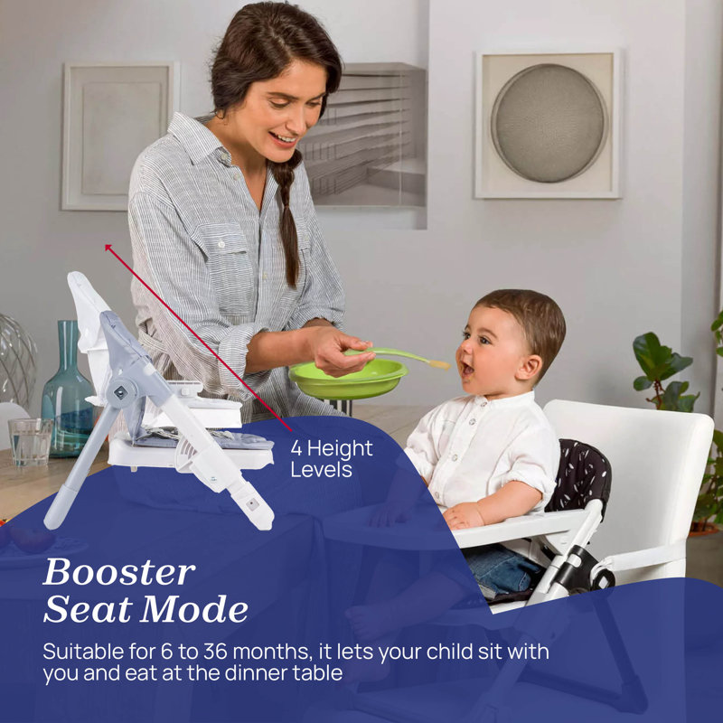 Chicco Chairy Booster Seat
