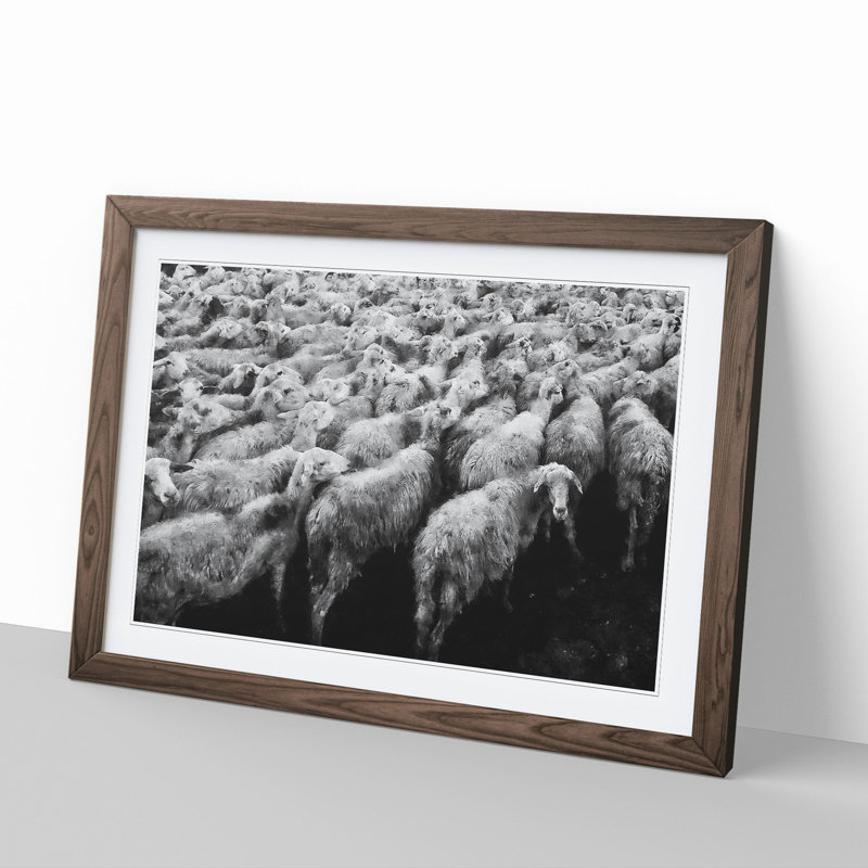 Flock of Sheep Vol.1 - Framed Print, Walnut Framed, 48cm H x 65cm W x 2cm D