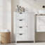 Armoire de rangement autoportante avec 4 tiroirs et 1 porte