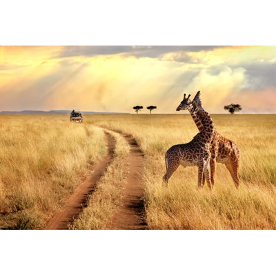 Group of Giraffes - Photographie sur toile tendue