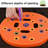 Round Seed Planting Template Growing Guide