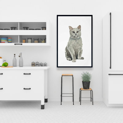" British Shorthair Cat "