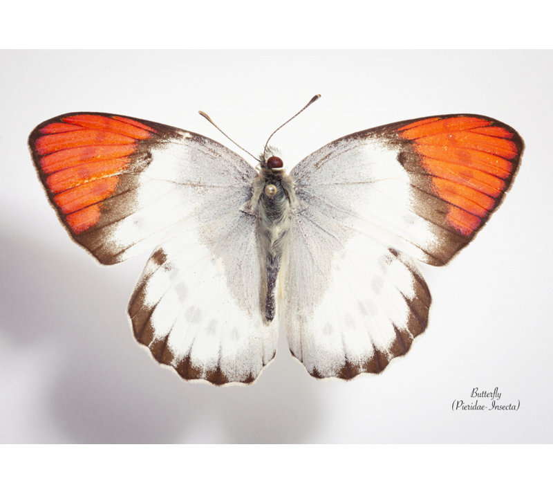 Wrapped Canvas Print, 50.8 cm H x 76.2 cm W