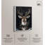 «Deer in Snowfall», reproduction d'art sur toile par Art Remedy, cadre blanc, 16 x 24-162240894-162240889